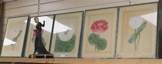 Indian School, five watercolour studies of waterlilies and lotus flowers, 35 x 27cm